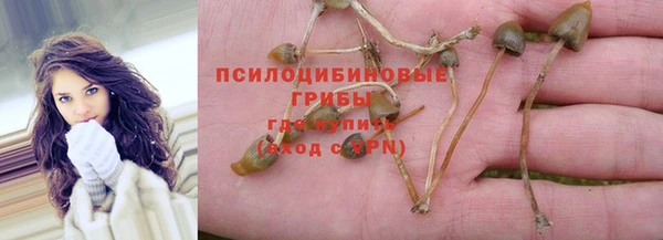 спиды Белоозёрский