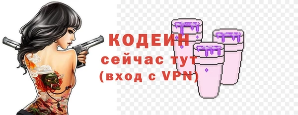 молекула духа Богданович