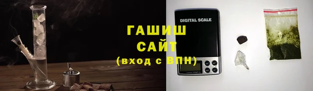 молекула духа Богданович