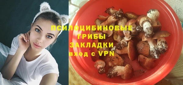 молекула духа Богданович