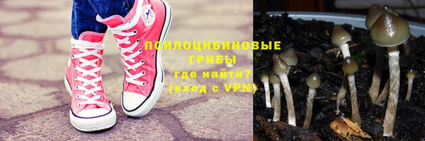 дурь Данков