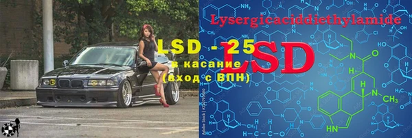 молекула духа Богданович