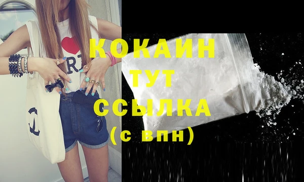 молекула духа Богданович