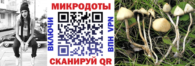 MEGA ссылка  Кушва  Галлюциногенные грибы Magic Shrooms  закладки 