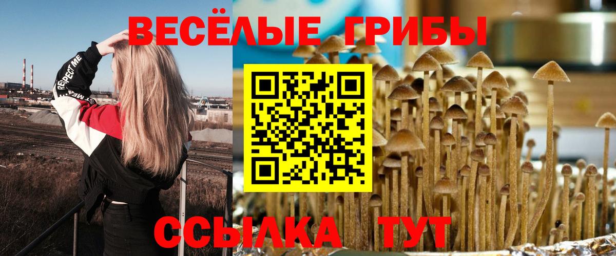 Галлюциногенные грибы Psilocybe  наркотики  Кушва  Вход с VPN 